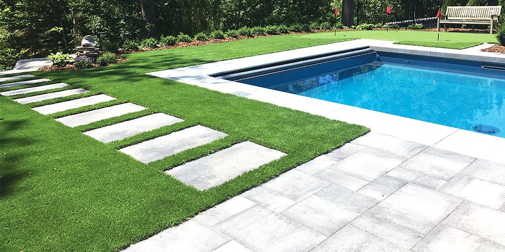 landscape turf in tampa florida 